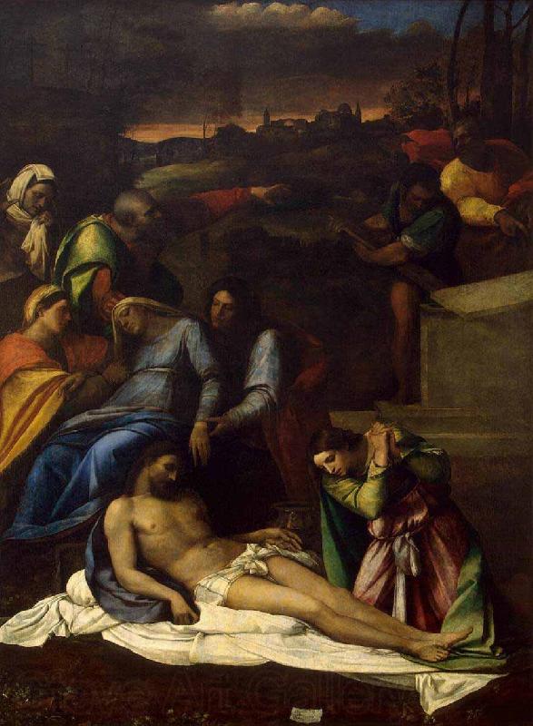 Sebastiano Ricci The Deposition Germany oil painting art